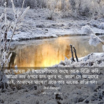 Picture 03 - আদি 37:27 BENIRV - এস, আমরা ঐ - Bible Verse Picture