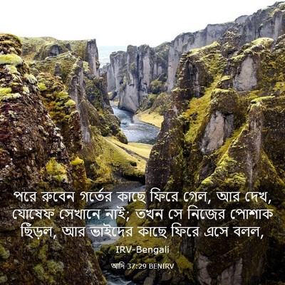 Picture 03 - আদি 37:29 BENIRV - পরে রুবেন গর্তের - Bible Verse Picture