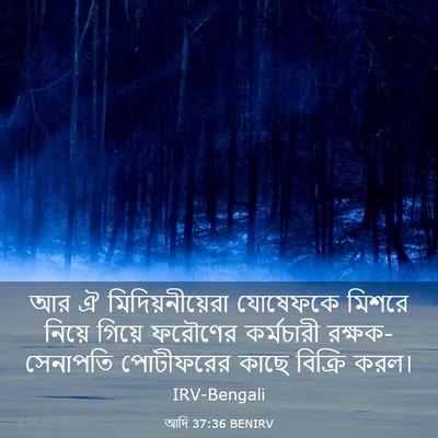 Picture 03 - আদি 37:36 BENIRV - আর ঐ - Bible Verse Picture