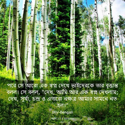 Picture 03 - আদি 37:9 BENIRV - পরে সে আরো এক - Bible Verse Picture