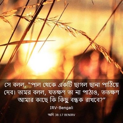 Picture 03 - আদি 38:17 BENIRV - সে বলল, “পাল থেকে - Bible Verse Picture