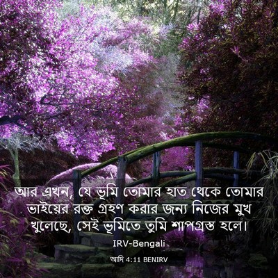 Picture 03 - আদি 4:11 BENIRV - আর এখন, যে ভূমি - Bible Verse Picture