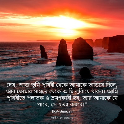 Picture 03 - আদি 4:14 BENIRV - দেখ, আজ তুমি পৃথিবী - Bible Verse Picture