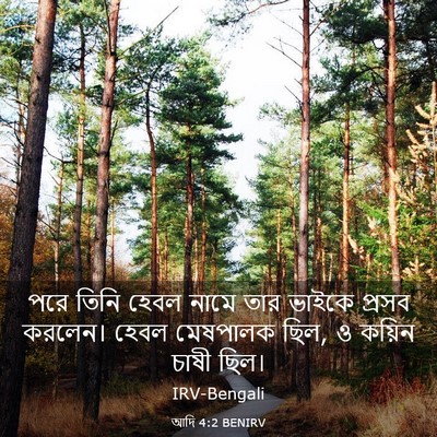 Picture 03 - আদি 4:2 BENIRV - পরে তিনি হেবল নামে - Bible Verse Picture