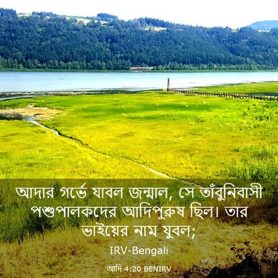Picture 03 - আদি 4:20 BENIRV - আদার গর্ভে যাবল - Bible Verse Picture