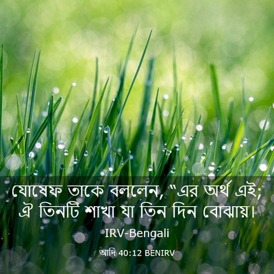 Picture 03 - আদি 40:12 BENIRV - যোষেফ তাকে বললেন, - Bible Verse Picture
