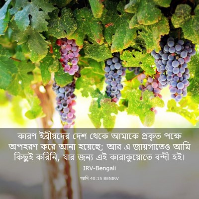 Picture 03 - আদি 40:15 BENIRV - কারণ ইব্রীয়দের - Bible Verse Picture