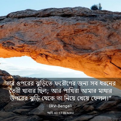 Picture 03 - আদি 40:17 BENIRV - তার ওপরের ঝুড়িতে - Bible Verse Picture