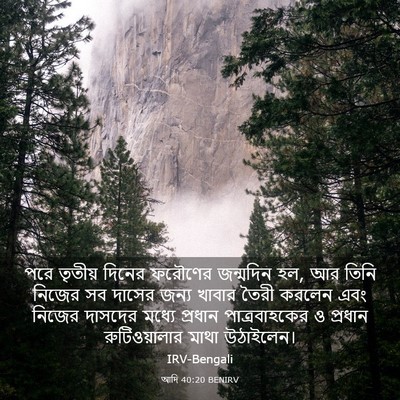 Picture 03 - আদি 40:20 BENIRV - পরে তৃতীয় দিনের - Bible Verse Picture