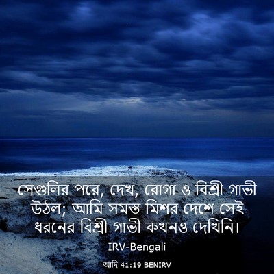 Picture 03 - আদি 41:19 BENIRV - সেগুলির পরে, দেখ, - Bible Verse Picture