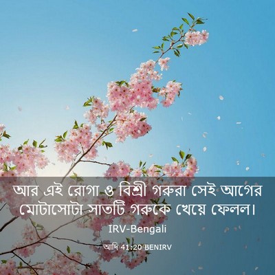 Picture 03 - আদি 41:20 BENIRV - আর এই রোগা ও বিশ্রী - Bible Verse Picture