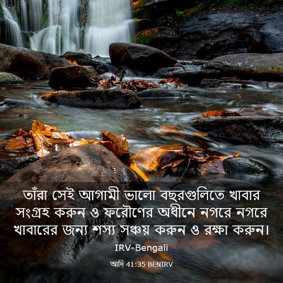 Picture 03 - আদি 41:35 BENIRV - তাঁরা সেই আগামী - Bible Verse Picture
