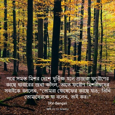 Picture 03 - আদি 41:55 BENIRV - পরে সমস্ত মিশর - Bible Verse Picture