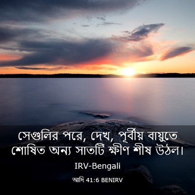 Picture 03 - আদি 41:6 BENIRV - সেগুলির পরে, দেখ, - Bible Verse Picture
