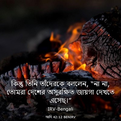 Picture 03 - আদি 42:12 BENIRV - কিন্তু তিনি - Bible Verse Picture