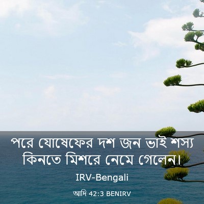 Picture 03 - আদি 42:3 BENIRV - পরে যোষেফের দশ জন - Bible Verse Picture