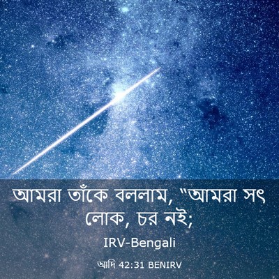 Picture 03 - আদি 42:31 BENIRV - আমরা তাঁকে বললাম, - Bible Verse Picture