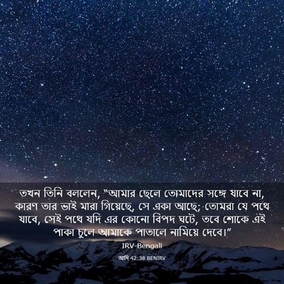 Picture 03 - আদি 42:38 BENIRV - তখন তিনি বললেন, - Bible Verse Picture