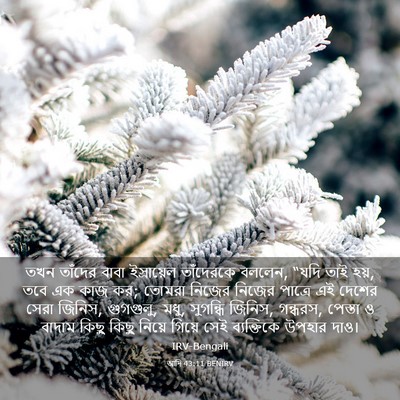 Picture 03 - আদি 43:11 BENIRV - তখন তাঁদের বাবা - Bible Verse Picture
