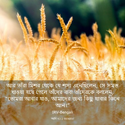 Picture 03 - আদি 43:2 BENIRV - আর তাঁরা মিশর থেকে - Bible Verse Picture