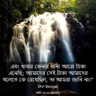 Picture 03 - আদি 43:22 BENIRV - এবং খাবার কেনার - Bible Verse Picture