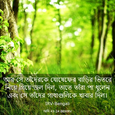 Picture 03 - আদি 43:24 BENIRV - আর সে তাঁদেরকে - Bible Verse Picture