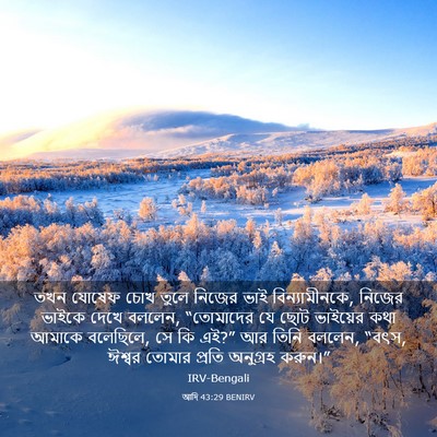 Picture 03 - আদি 43:29 BENIRV - তখন যোষেফ চোখ তুলে - Bible Verse Picture