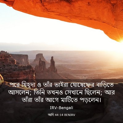 Picture 03 - আদি 44:14 BENIRV - পরে যিহূদা ও তাঁর - Bible Verse Picture