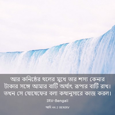 Picture 03 - আদি 44:2 BENIRV - আর কনিষ্ঠের থলের - Bible Verse Picture