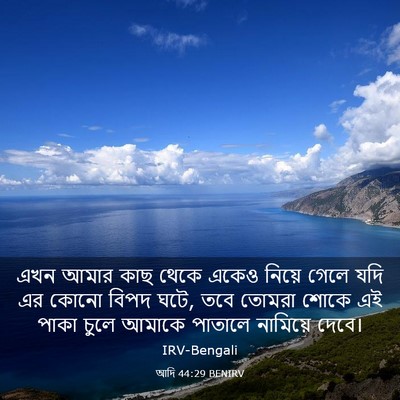 Picture 03 - আদি 44:29 BENIRV - এখন আমার কাছ থেকে - Bible Verse Picture