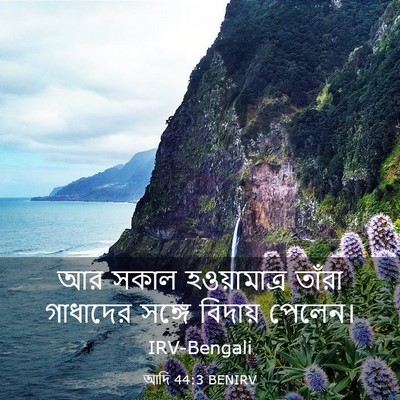 Picture 03 - আদি 44:3 BENIRV - আর সকাল - Bible Verse Picture