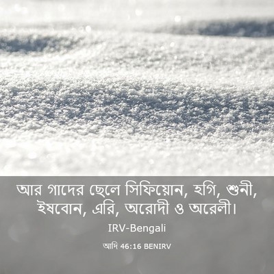 Picture 03 - আদি 46:16 BENIRV - আর গাদের ছেলে - Bible Verse Picture