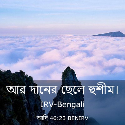 Picture 03 - আদি 46:23 BENIRV - আর দানের ছেলে - Bible Verse Picture