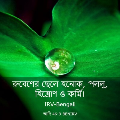 Picture 03 - আদি 46:9 BENIRV - রুবেণের ছেলে হনোক, - Bible Verse Picture