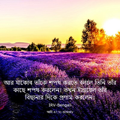 Picture 03 - আদি 47:31 BENIRV - আর যাকোব তাঁকে শপথ - Bible Verse Picture