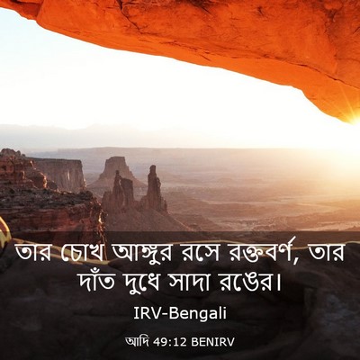 Picture 03 - আদি 49:12 BENIRV - তার চোখ আঙ্গুর রসে - Bible Verse Picture