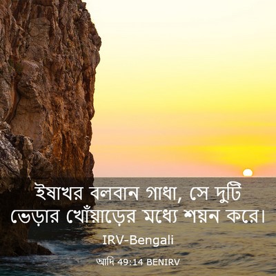 Picture 03 - আদি 49:14 BENIRV - ইষাখর বলবান গাধা, - Bible Verse Picture