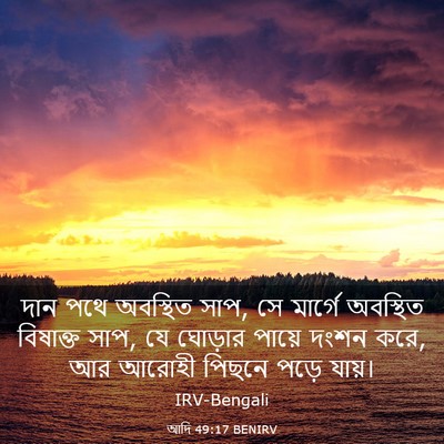Picture 03 - আদি 49:17 BENIRV - দান পথে অবস্থিত - Bible Verse Picture