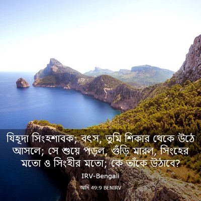Picture 03 - আদি 49:9 BENIRV - যিহূদা সিংহশাবক; - Bible Verse Picture
