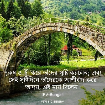 Picture 03 - আদি 5:2 BENIRV - পুরুষ ও স্ত্রী করে - Bible Verse Picture