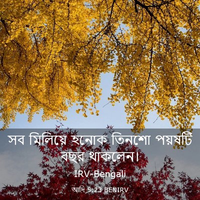 Picture 03 - আদি 5:23 BENIRV - সব মিলিয়ে হনোক - Bible Verse Picture
