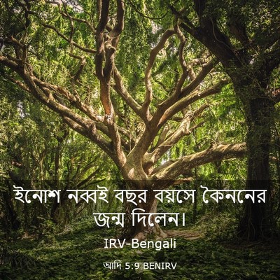Picture 03 - আদি 5:9 BENIRV - ইনোশ নব্বই বছর - Bible Verse Picture