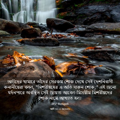 Picture 03 - আদি 50:11 BENIRV - আটদের খামারে - Bible Verse Picture
