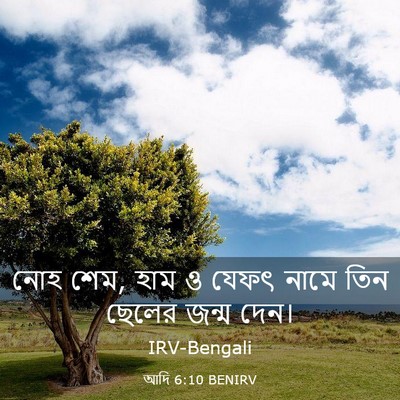 Picture 03 - আদি 6:10 BENIRV - নোহ শেম, হাম ও যেফৎ - Bible Verse Picture