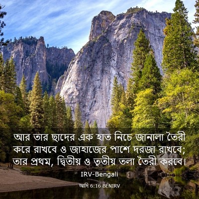 Picture 03 - আদি 6:16 BENIRV - আর তার ছাদের এক হাত - Bible Verse Picture