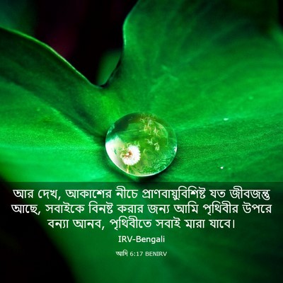Picture 03 - আদি 6:17 BENIRV - আর দেখ, আকাশের নীচে - Bible Verse Picture