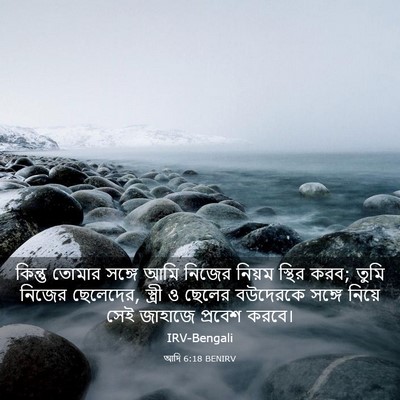 Picture 03 - আদি 6:18 BENIRV - কিন্তু তোমার - Bible Verse Picture