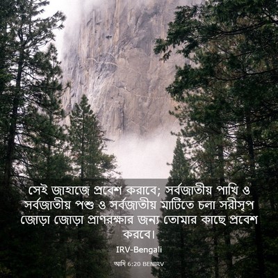 Picture 03 - আদি 6:20 BENIRV - সেই জাহাজে প্রবেশ - Bible Verse Picture