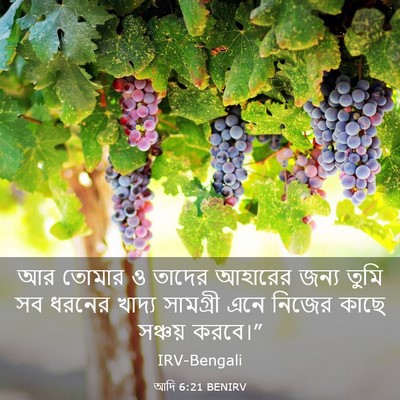 Picture 03 - আদি 6:21 BENIRV - আর তোমার ও তাদের - Bible Verse Picture
