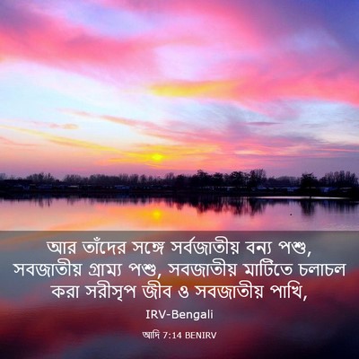 Picture 03 - আদি 7:14 BENIRV - আর তাঁদের সঙ্গে - Bible Verse Picture